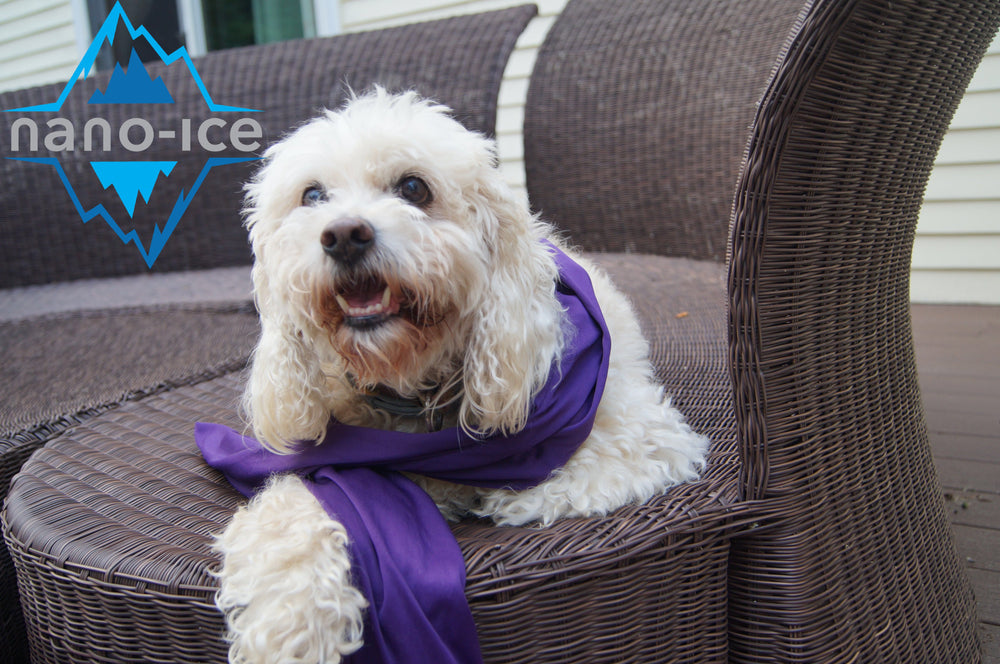 Purple | Nano-Ice Cooling Necklace Scarf - COOLING BALLS INCLUDED!